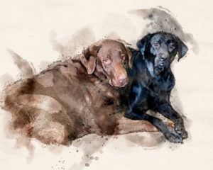 celebrating my puppies today
