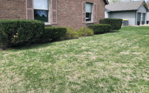 i'm already tired of mowing grass