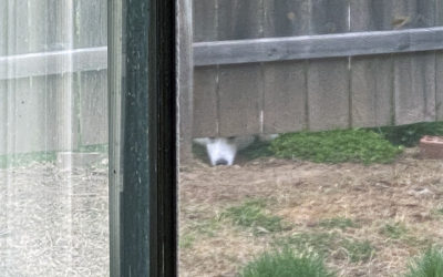 not gonna lie — Moderna #2 side effects