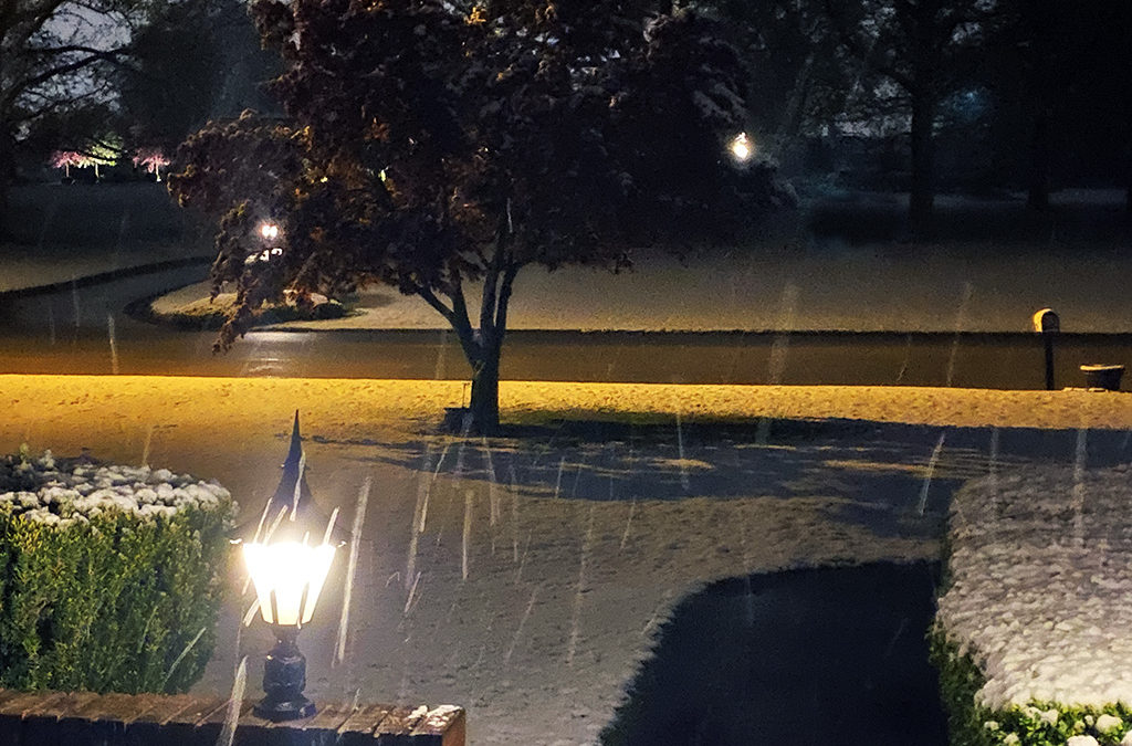 I mowed in shorts in the afternoon and then watched it snow – it’s called smowing