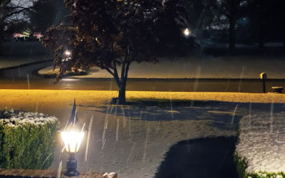 I mowed in shorts in the afternoon and then watched it snow – it’s called smowing