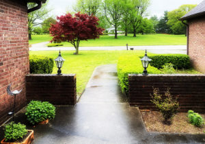gloomy, rainy, and no coffee - i may not survive