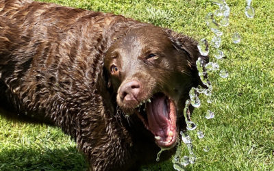 Dharma celebrated her uniqueness