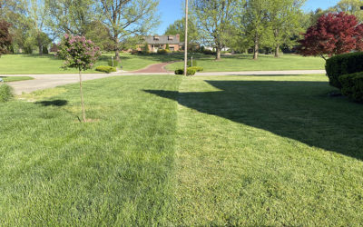 it’s a beautiful day in the neighborhood – neighbors vs me