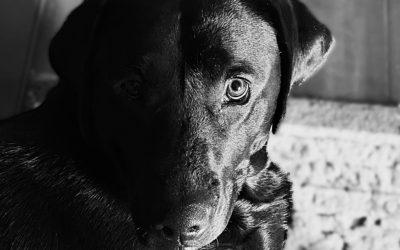 what’s behind drawer number two?