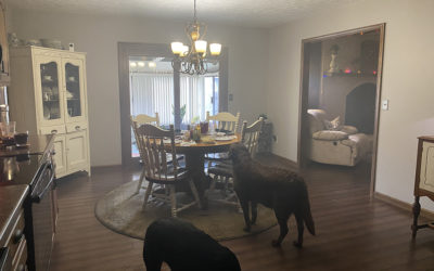 i stuck a perfect 10