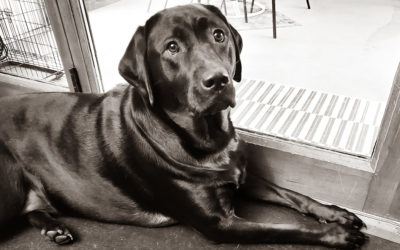 what is more annoying than a group SPAM message?