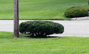 Where do you rank on the good neighbor scale?