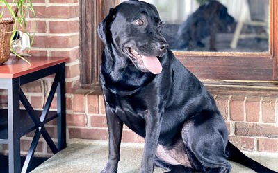 Does anyone really understand the numbers?