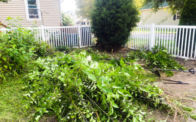 i’m a proud owner of a sawzall – or a saw saw — or a reciprocating…