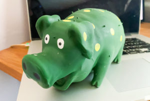 this little piggy...