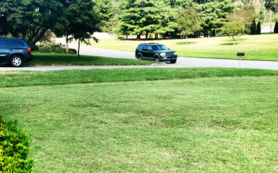 on the latest episode of ‘fear thy neighbor’…