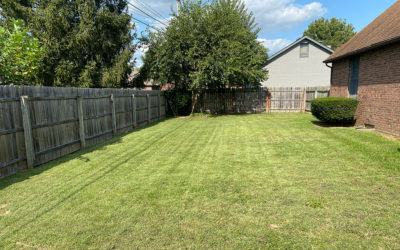 not to be negative…