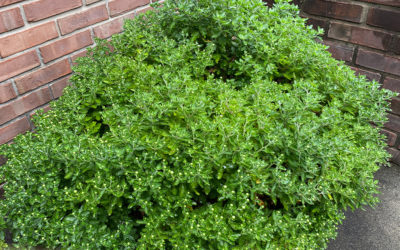 when you’re old, ten years isn’t so long