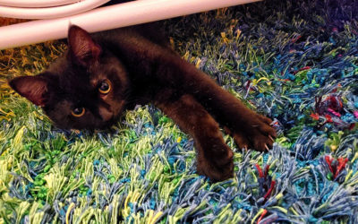 once upon a time i…