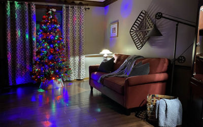 19 degrees in the forecast