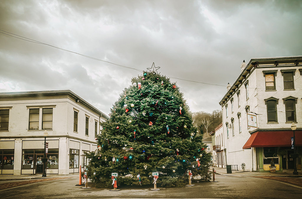 i failed at Christmas photography