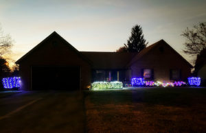not my year to decorate
