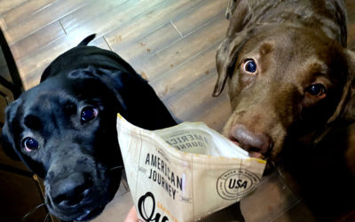 thanks  to Dharma, I’m sleep deprived