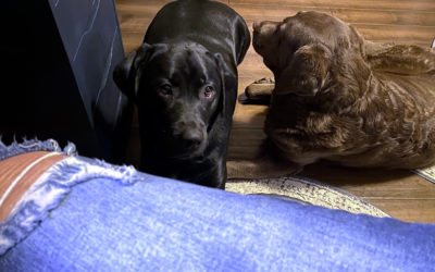 raise your hand if you’re not sick