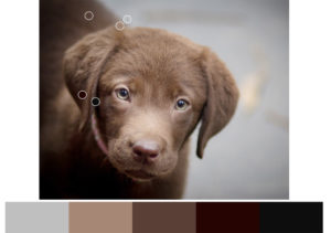92 shades of red
