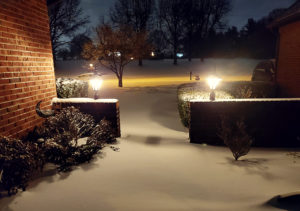 snowmageddon 2022: Part 4, night