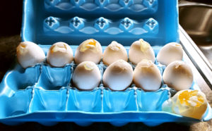 13 eggs, a little ice, cake, and a large dose of concern