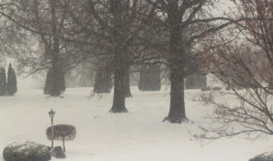 snowmageddon 2022: Part 3, late-afternoon