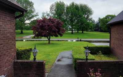 the rain delayed the pain