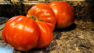 homegrown tomatoes