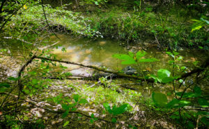creek