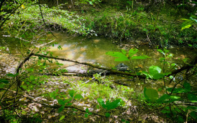 i have a computer again – yay!