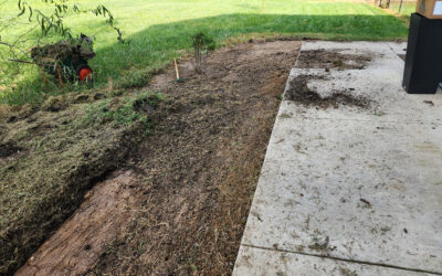 today is mow the grass day