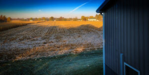 harvested field