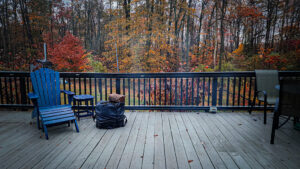 rainy fall day