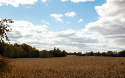 mother nature returns from holiday this week