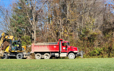 well played sellers of the barndo… well played