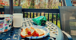 lunch outside in November