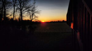 sunset over cornfield in indiana