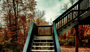 barely fall