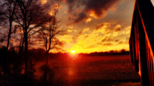 fall sunset