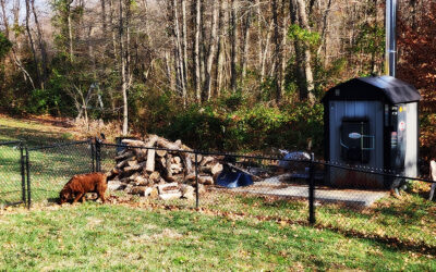 i’ve never seen sophie… but I smelled her