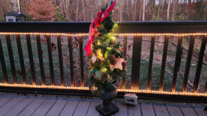 small Christmas tree outside