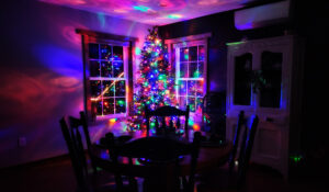 lit christmas tree