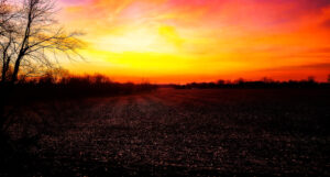 barndo sunset