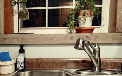 ants are annoying little pests