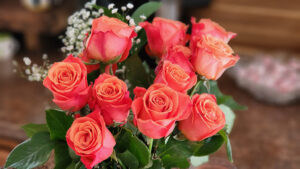 Happy Valentine's Day 2023!