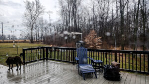 all 4 seasons in 4 days