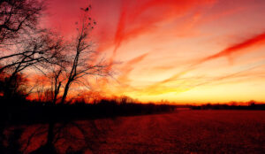 it's true -- beauty is in the eye of the beholder