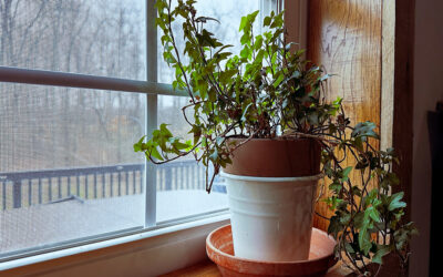 how many more sleeps?